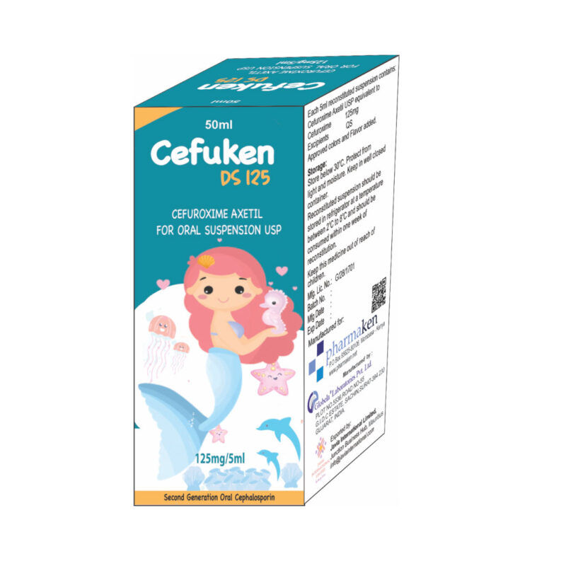 Cefuken Suspension – Cefuken DS 125 Suspension